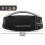 LEDWOOD Xtreme360 Enceinte Bluetooth 360W Extra Bass LED RGB IPX5 Micro USB FM Noir