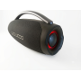 LEDWOOD Xtreme360 Enceinte Bluetooth 360W Extra Bass LED RGB IPX5 Micro USB FM Noir