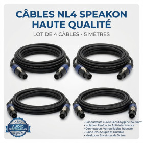BM Sonic Lot de 4 Câbles SPEAKON/SPEAKON Mâle/Mâle 5m Haute Fidélité Professionnel Twist-Lock