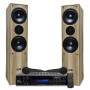 Evidence Acoustics Pack HiFi Home-Cinéma Enceintes Colonne 3 voies + Ampli 7360 Bluetooth USB 1000W PMPO 2 Micros Karaokés