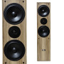 Evidence Acoustics Pack HiFi Home-Cinéma Enceintes Colonne 3 voies + Ampli 7360 Bluetooth USB 1000W PMPO 2 Micros Karaokés