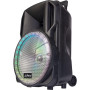 Tragbarer 1000-W-Lautsprecher mit Akku – 15" mit RGB-LEDs – USB/Micro-SD/BT/FM + VHF-Mikrofon + Telefon